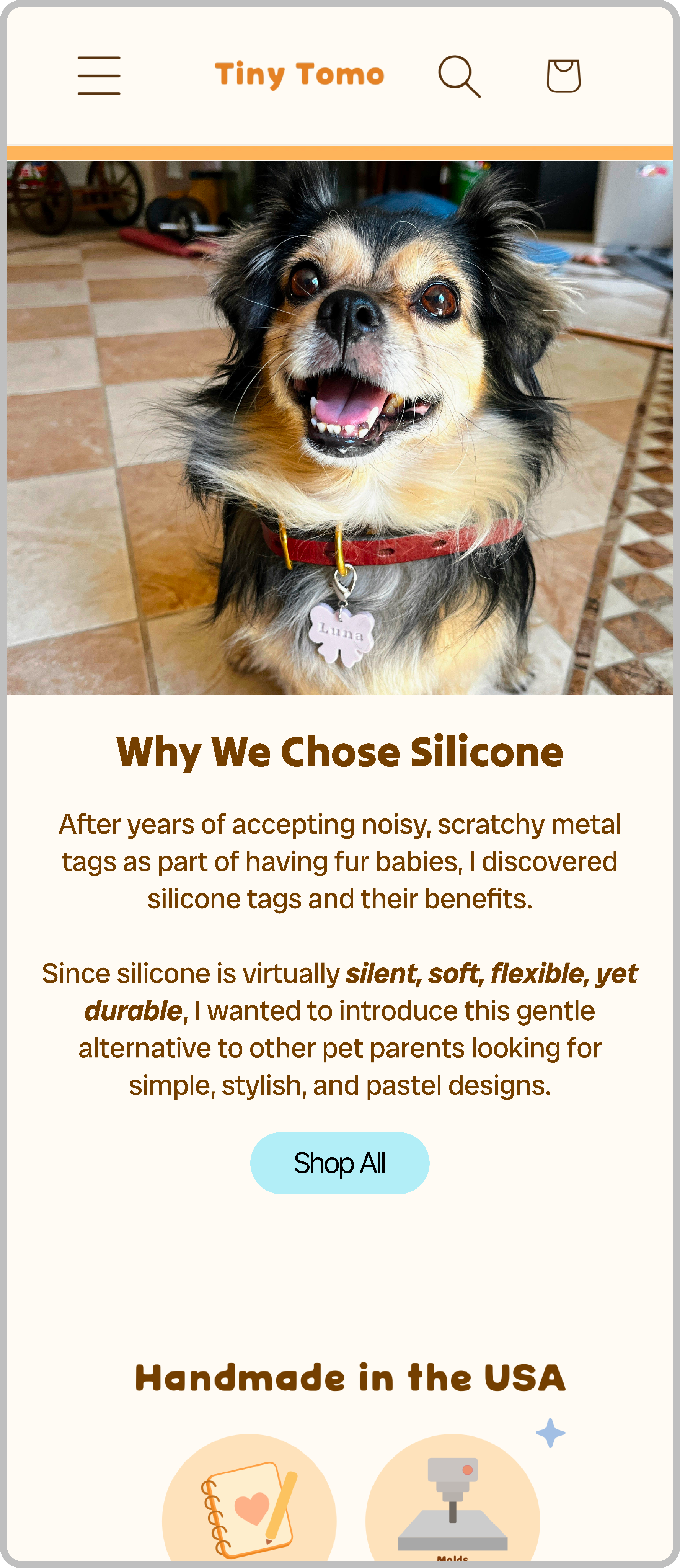 'Why we chose silicone' section for e-commerce website